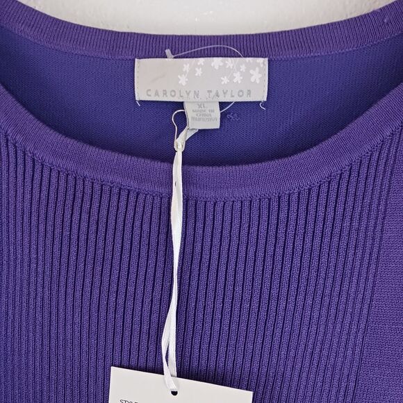 Carolyn Taylor joanna rib dolman pull over sweater size Xl - Picture 2 of 4